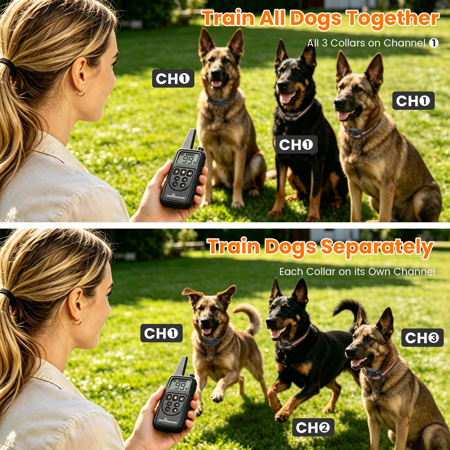 14eb8769 e379 4e6d bd97 65d1df042fb6.jpg 14eb8769 e379 4e6d bd97 65d1df042fb6.jpg