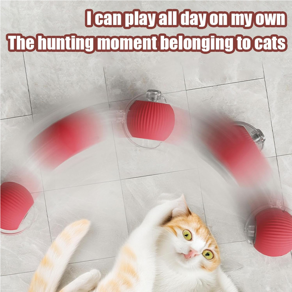 227a38c0 ab29 41f5 a7bc 08f2d1c7fe8f.jpg 227a38c0 ab29 41f5 a7bc 08f2d1c7fe8f.jpg